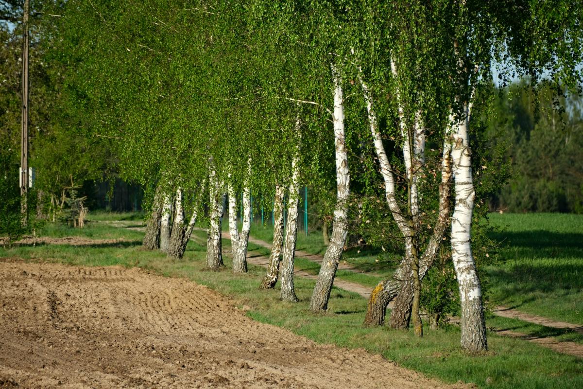 Étude de sol avant construction : est-elle obligatoire et à quel prix ?